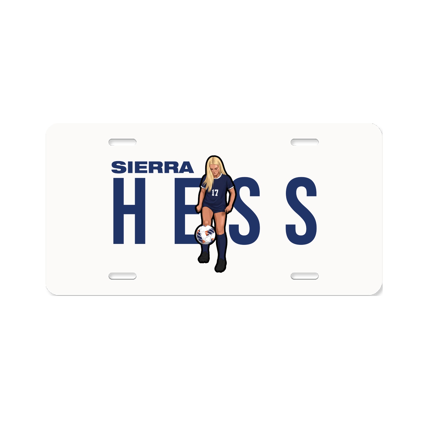 License Plate