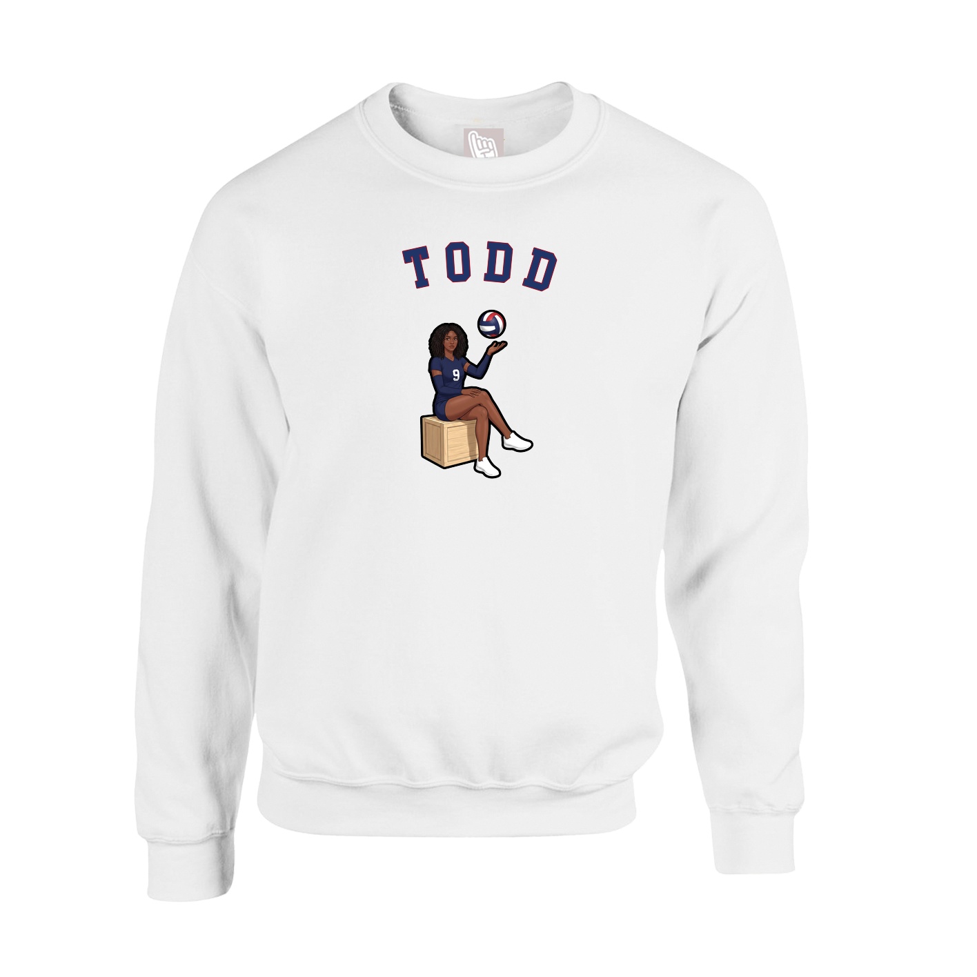 Fleece Crew — Shirsey Arch in White