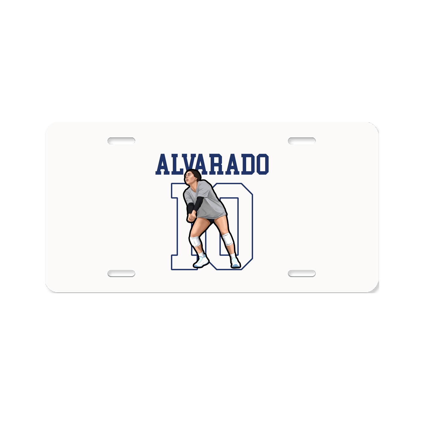 License Plate
