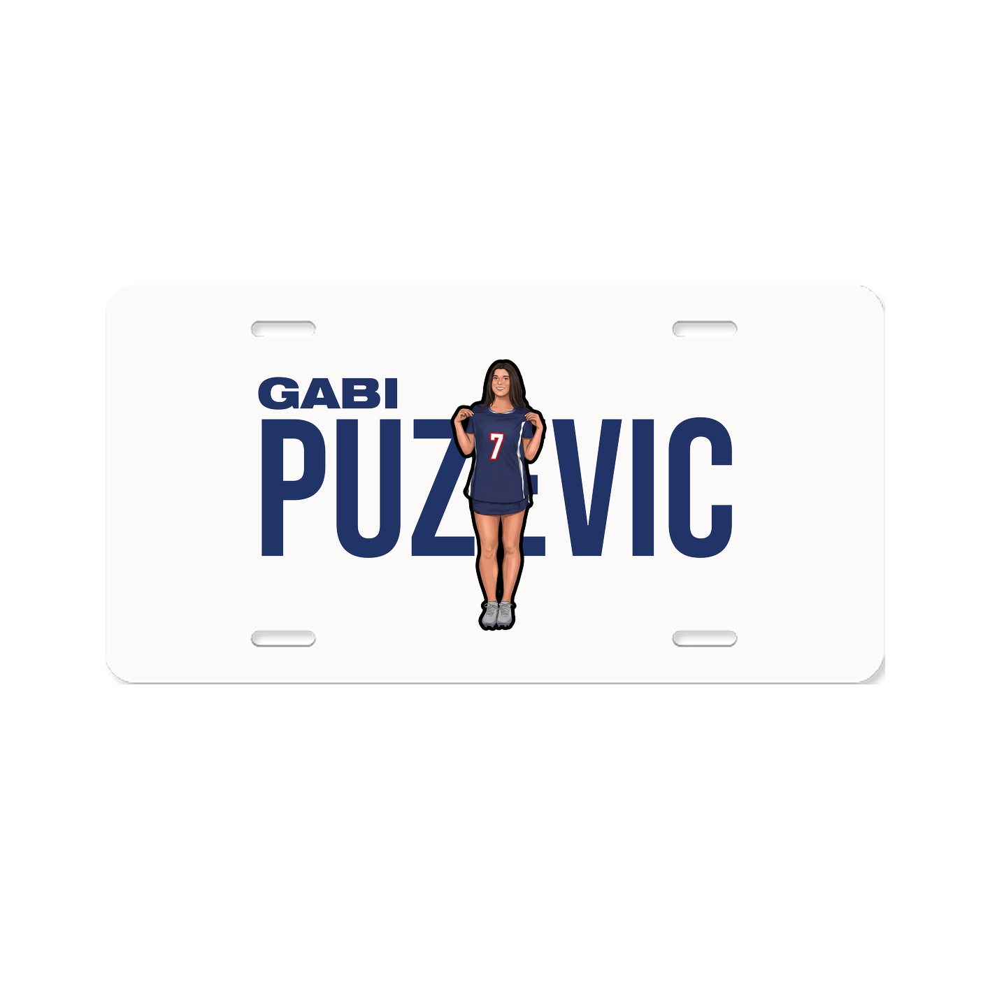 License Plate