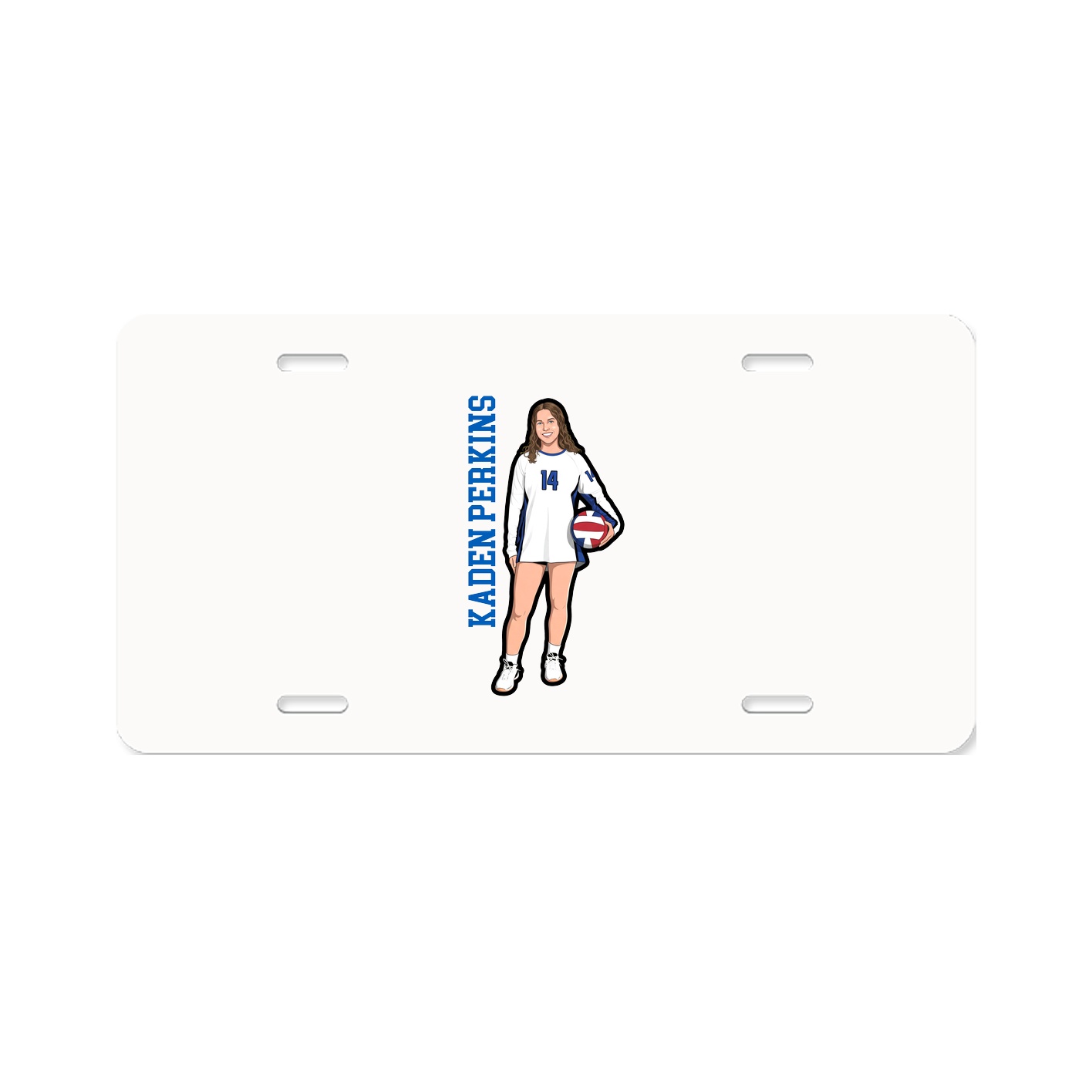 Aluminum License Plate