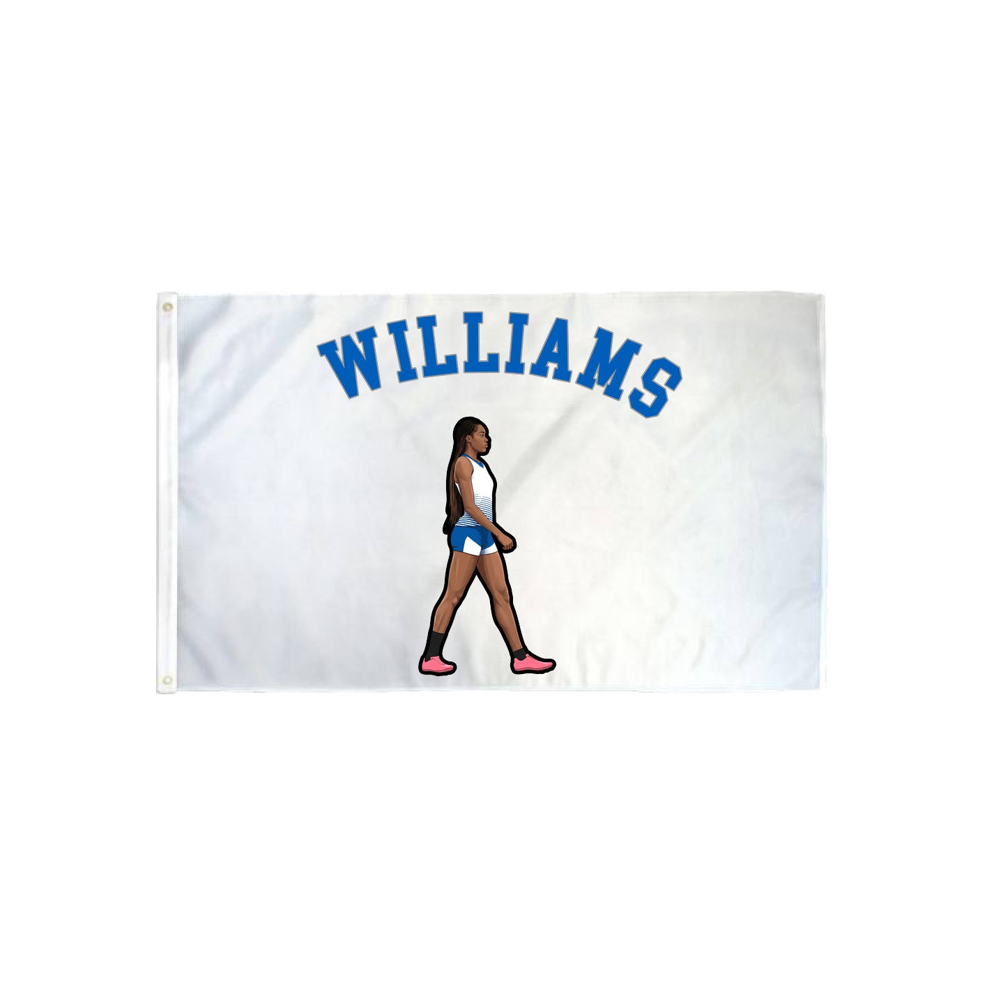3x5 Flag — Shirsey Arch in Classic