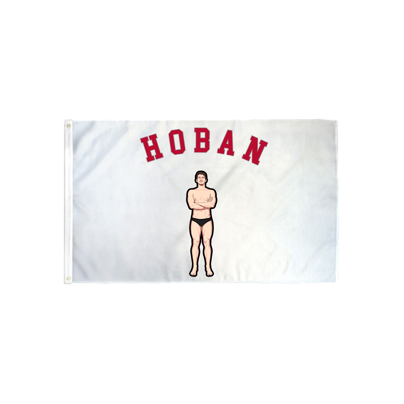 3x5 Flag — Shirsey Arch in Classic