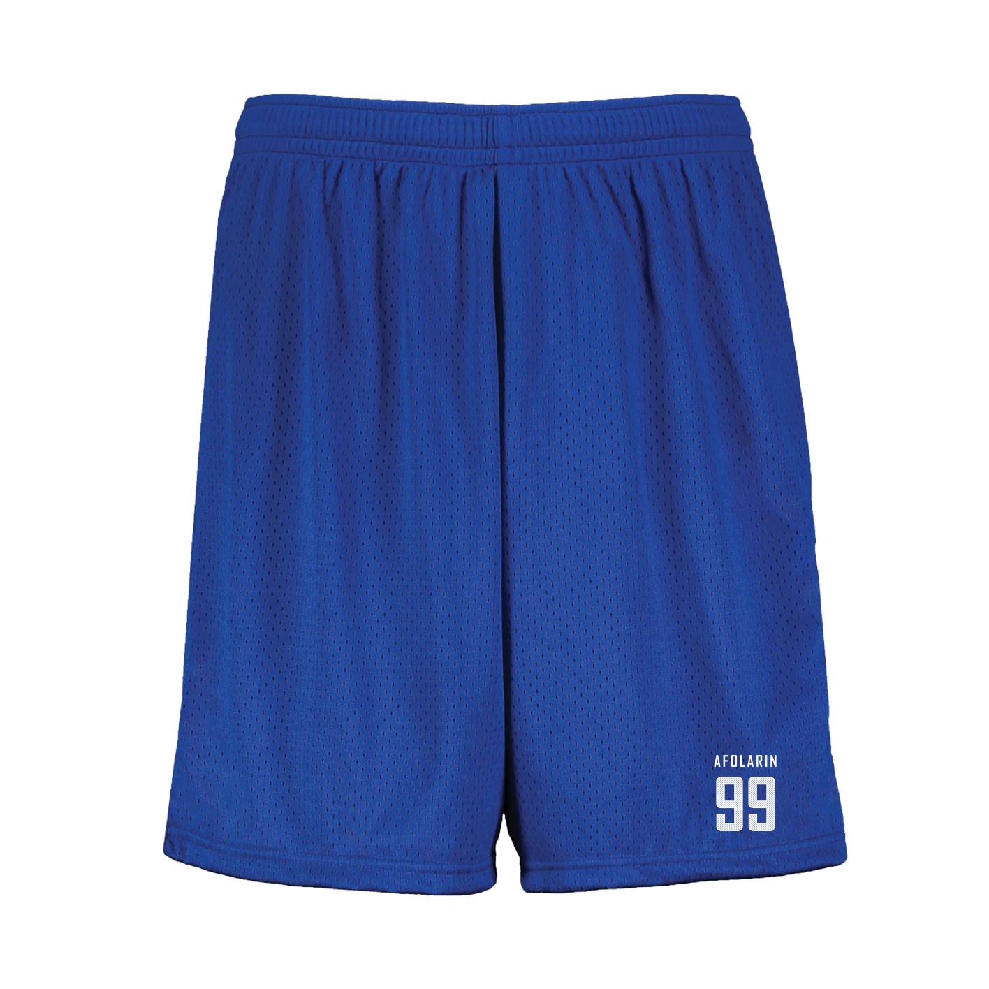 Shorts — Mesh Shirsey in Royal