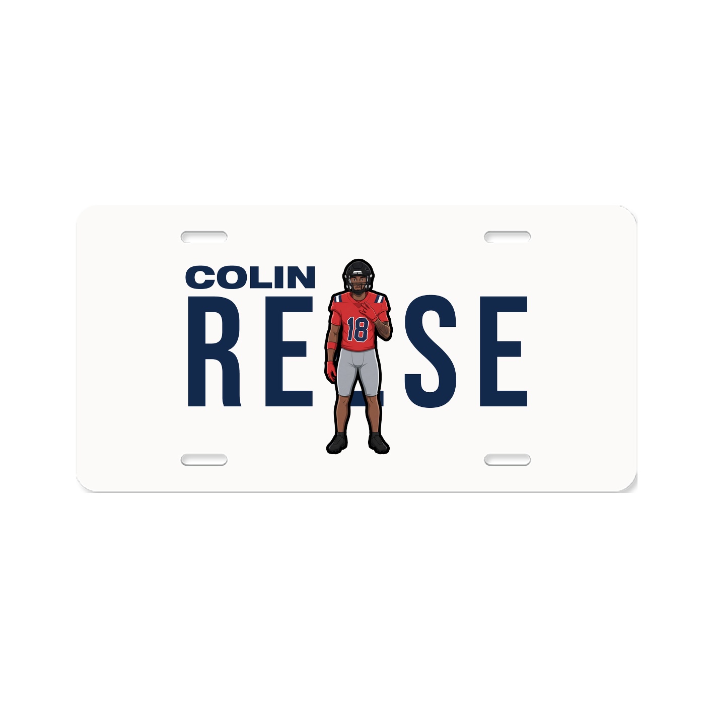 License Plate