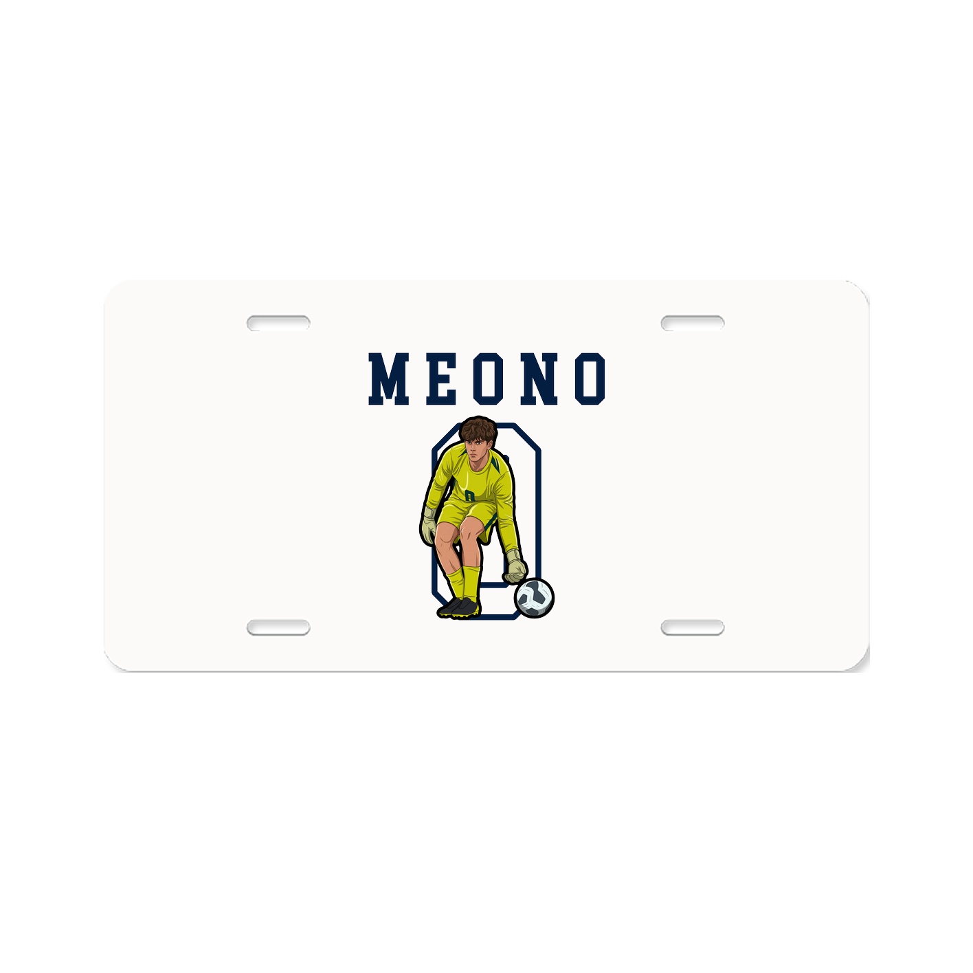 License Plate