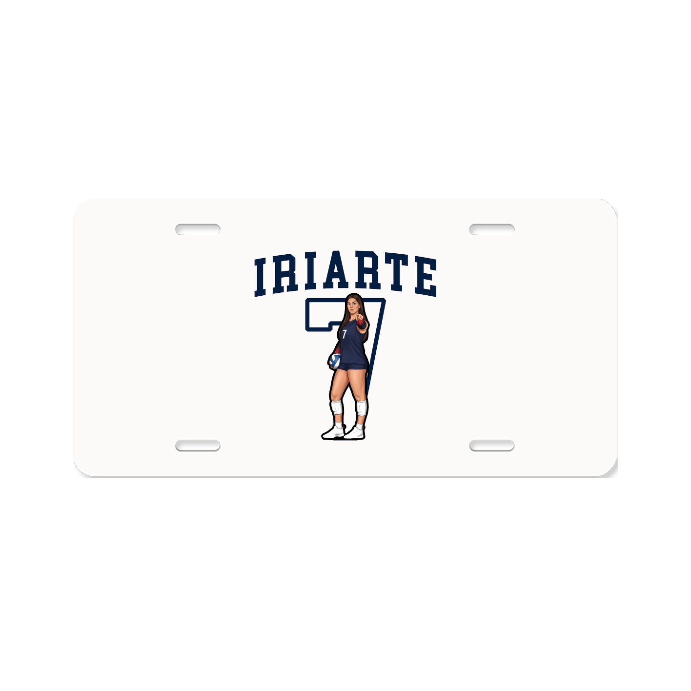 License Plate