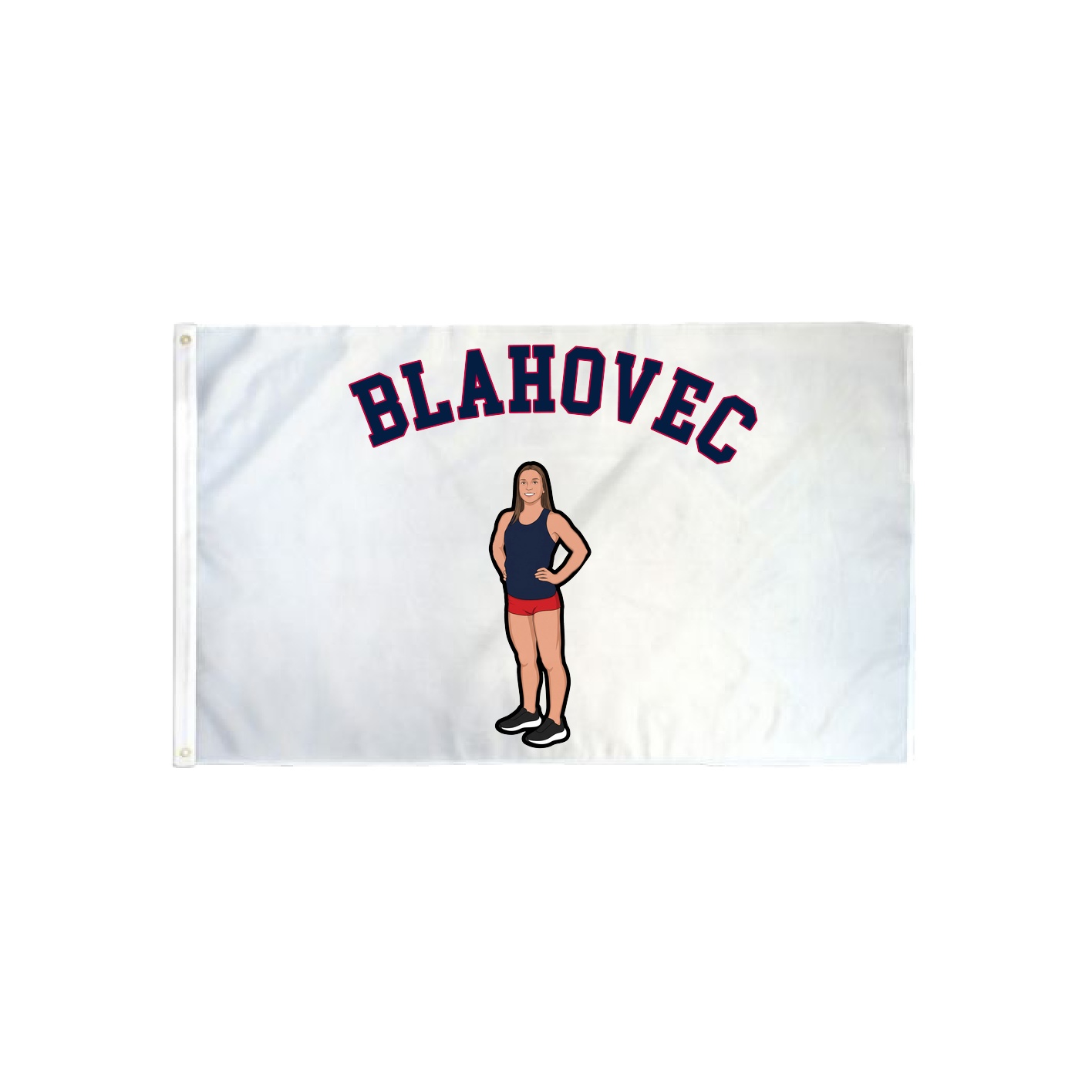 3x5 Flag — Shirsey Arch in Classic