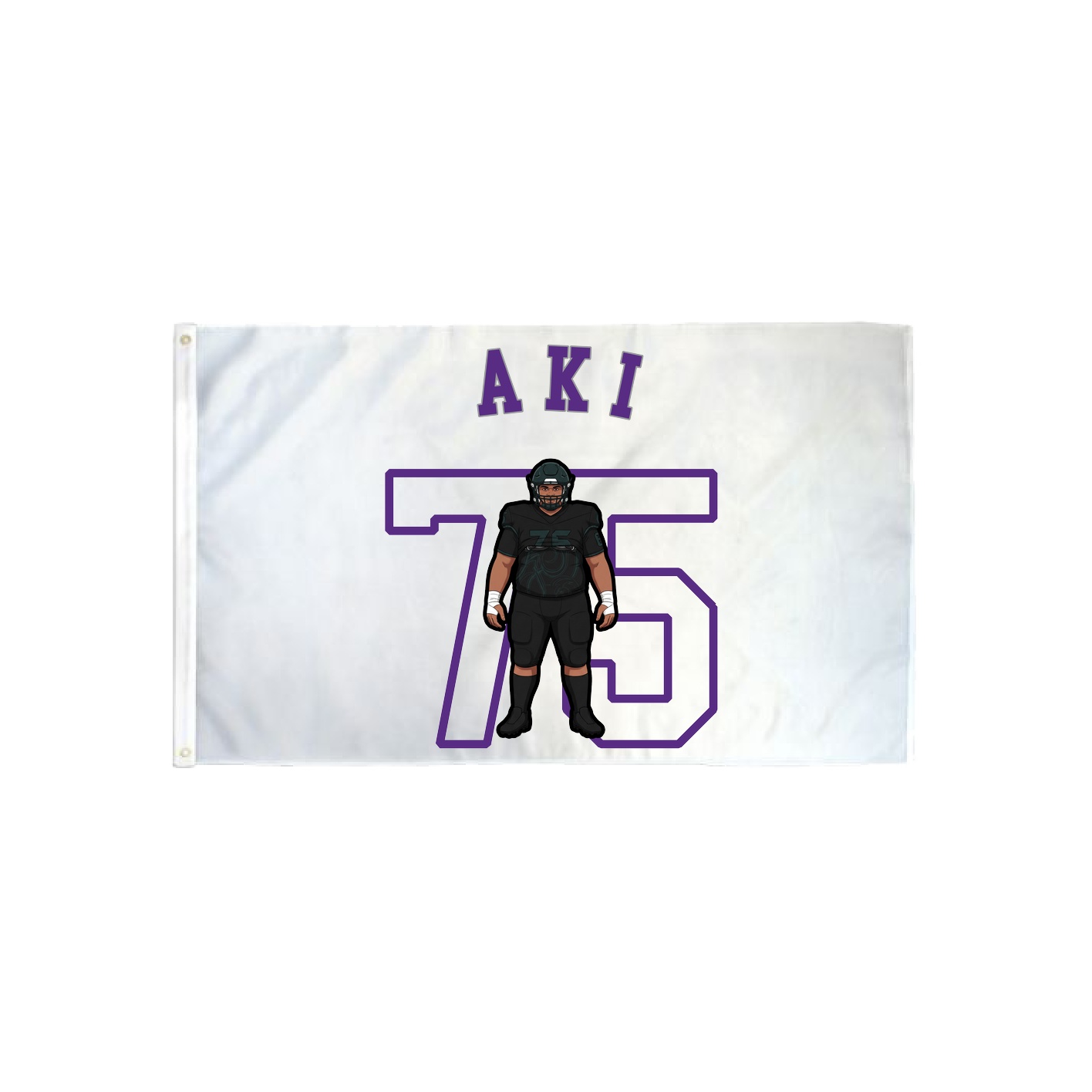 3x5 Flag — Shirsey Arch in Classic