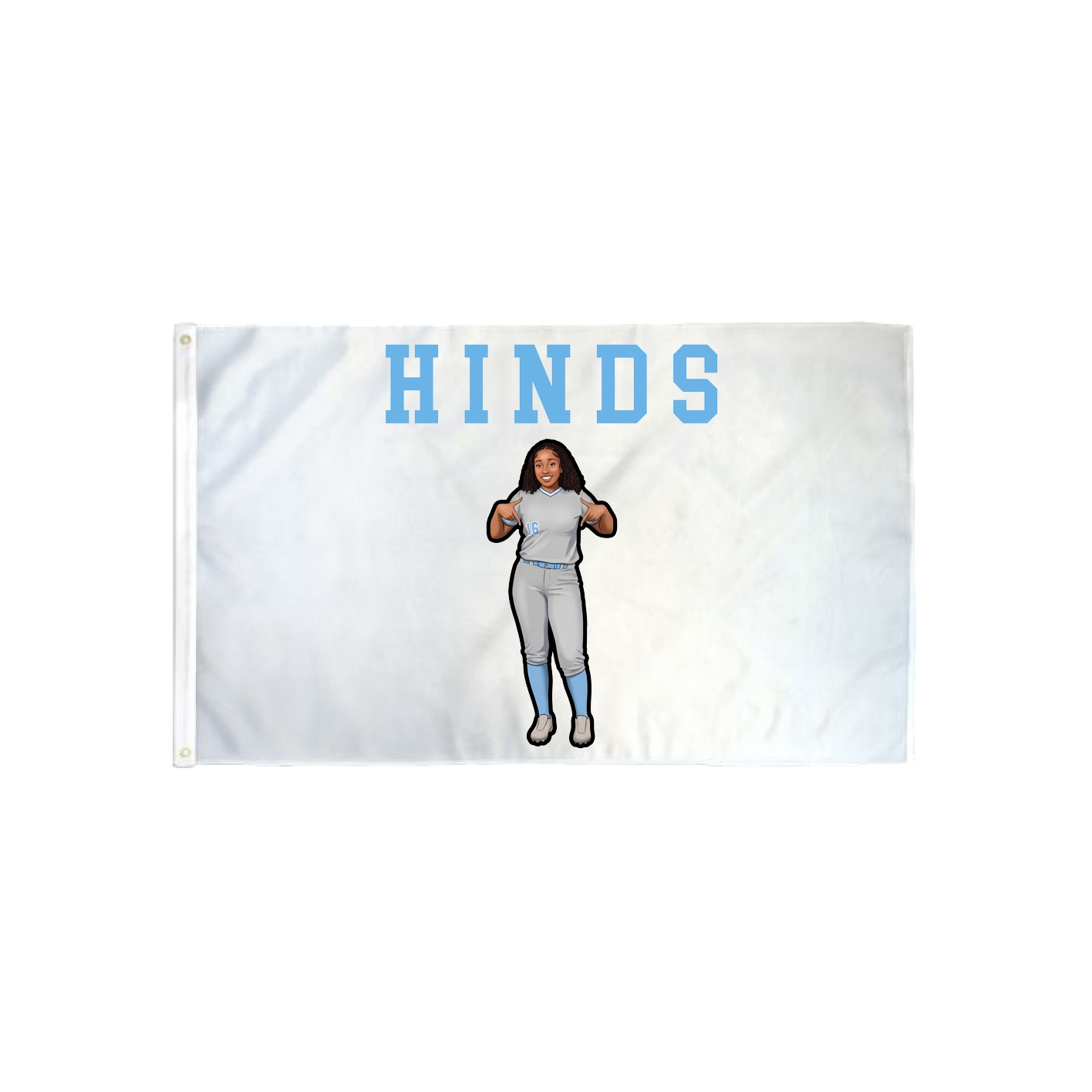 3x5 Flag — Shirsey in Classic