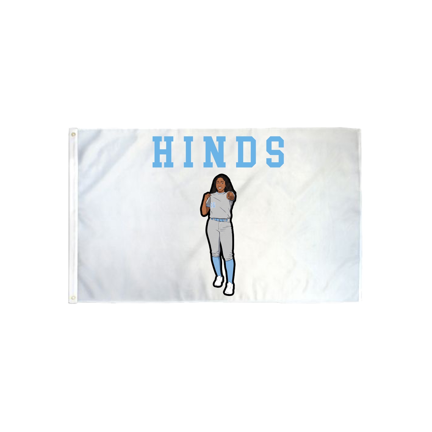 3x5 Flag — Shirsey in Classic