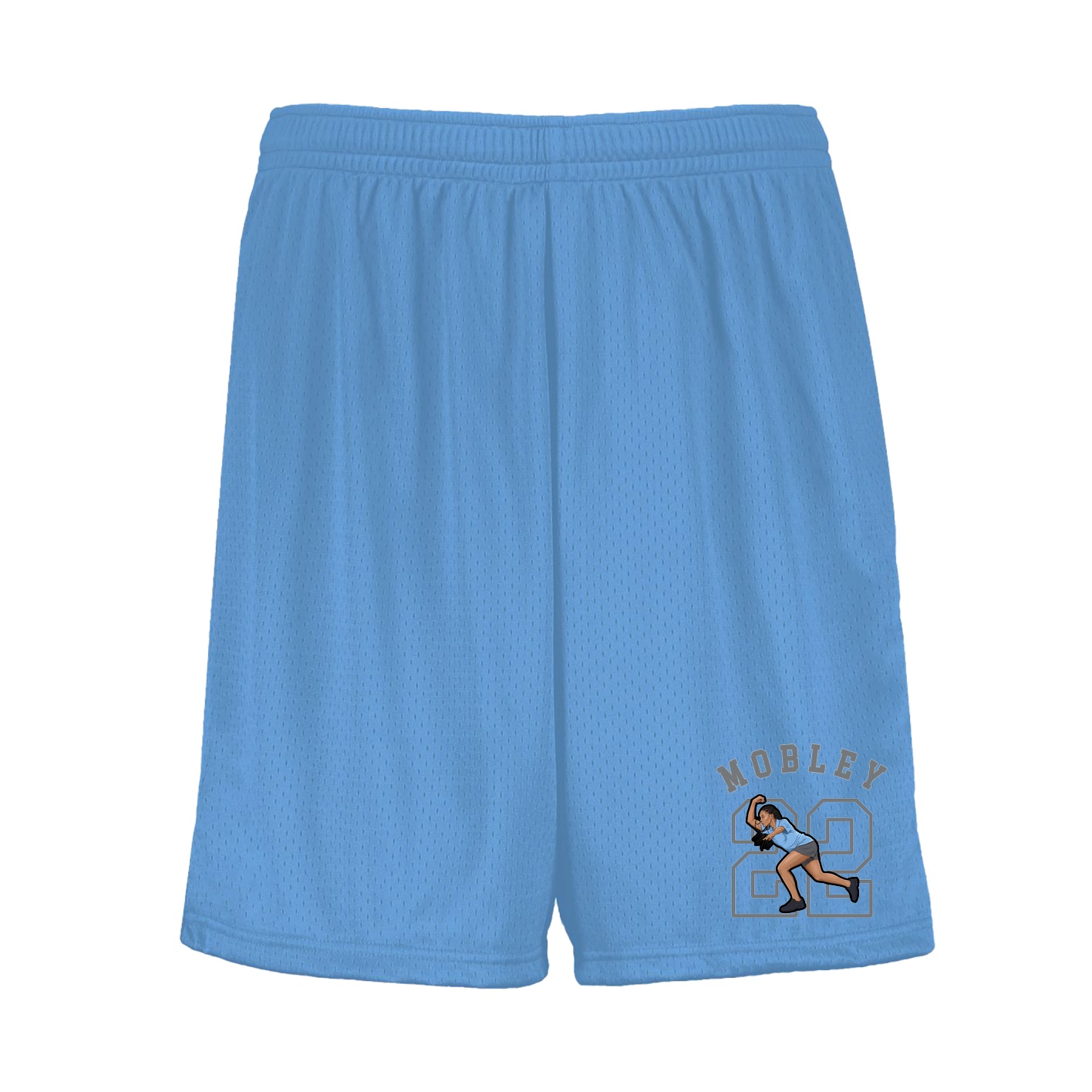 Shorts — Shirsey Arch in Light Blue