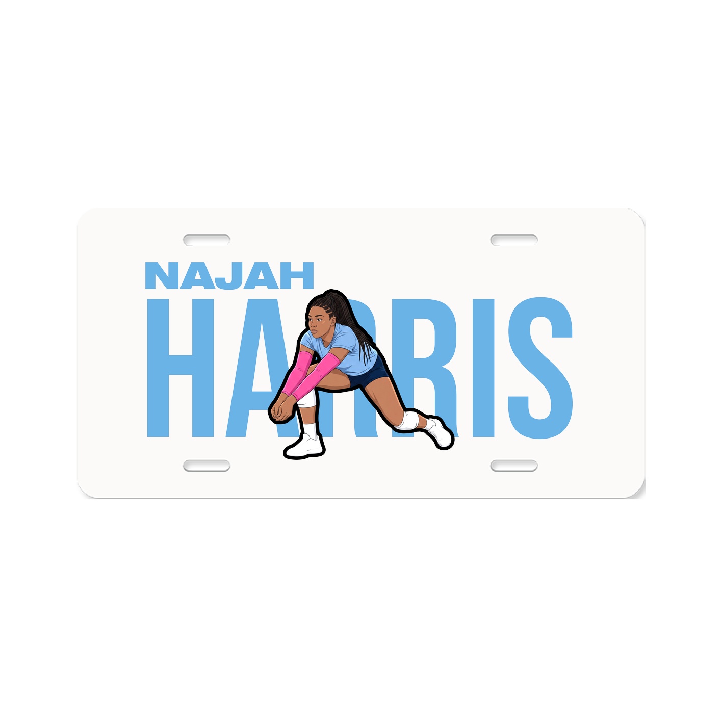 License Plate