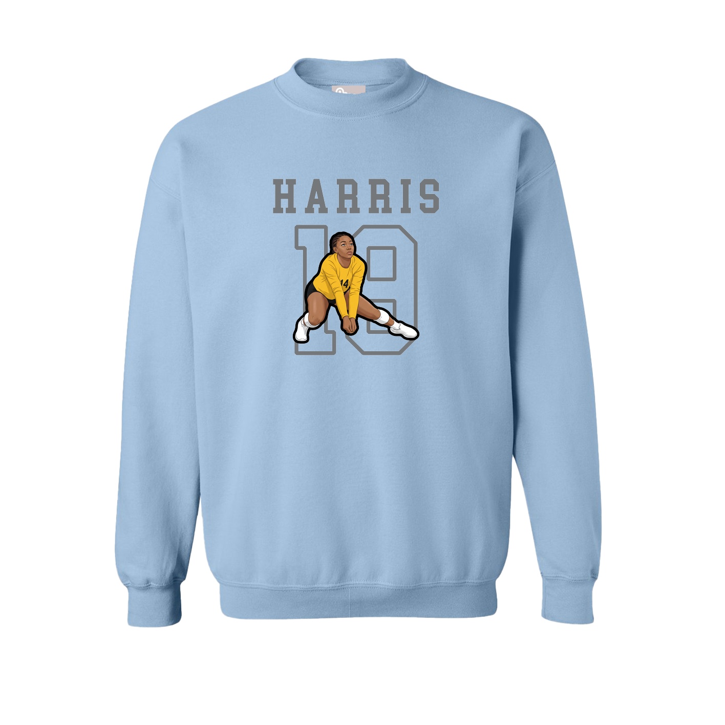 Fleece Crew — Shirsey in Light Blue
