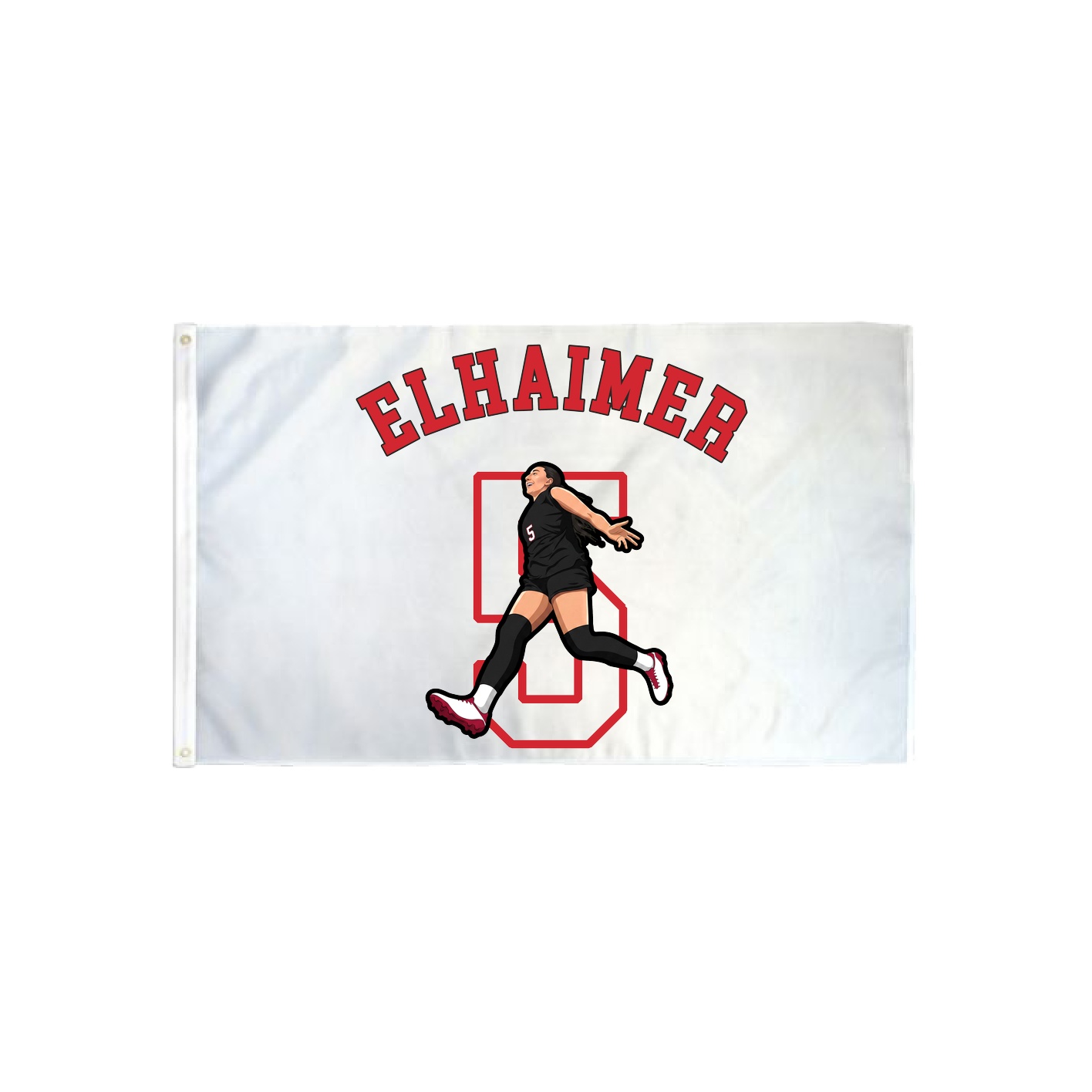 3x5 Flag — Shirsey Arch in Classic