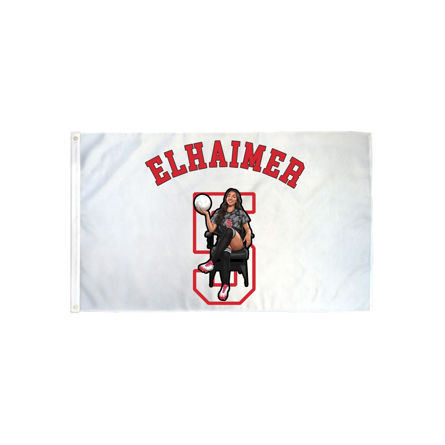 3x5 Flag — Shirsey Arch in Classic