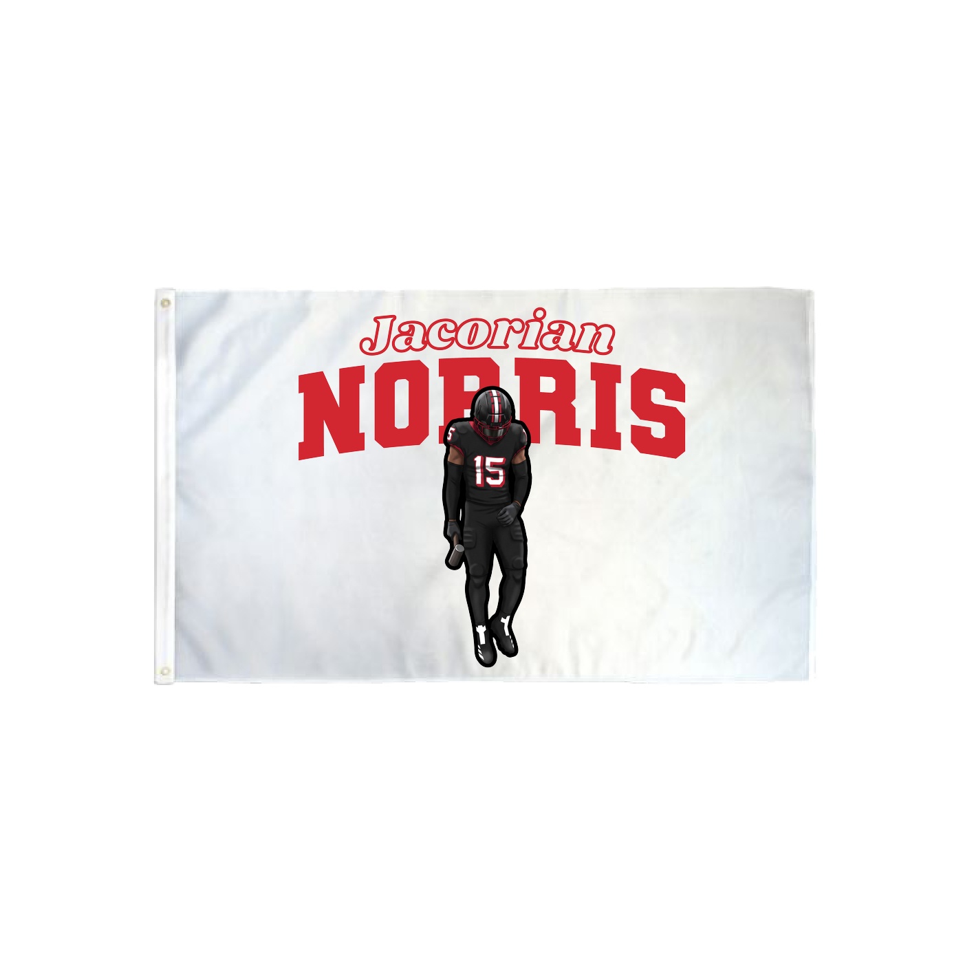 3x5 Flag — Name Arch in Classic