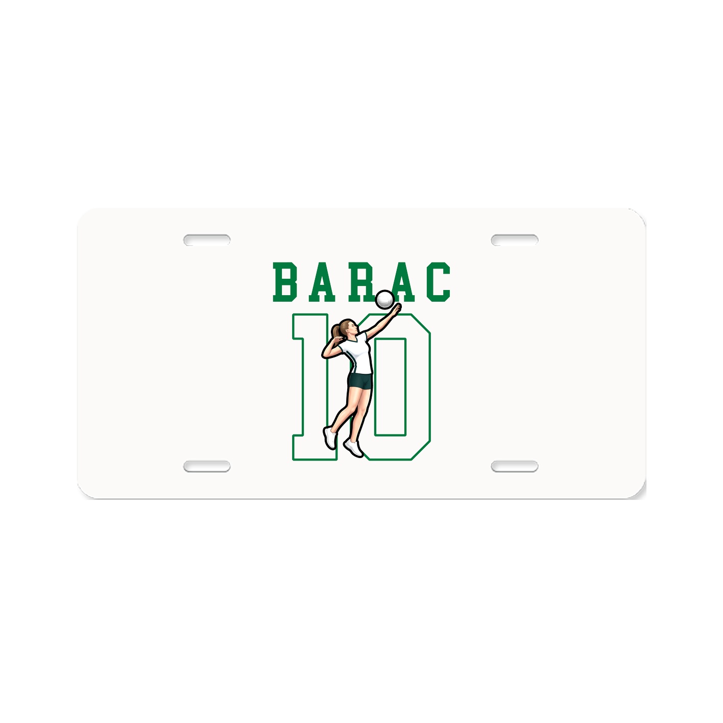Aluminum License Plate