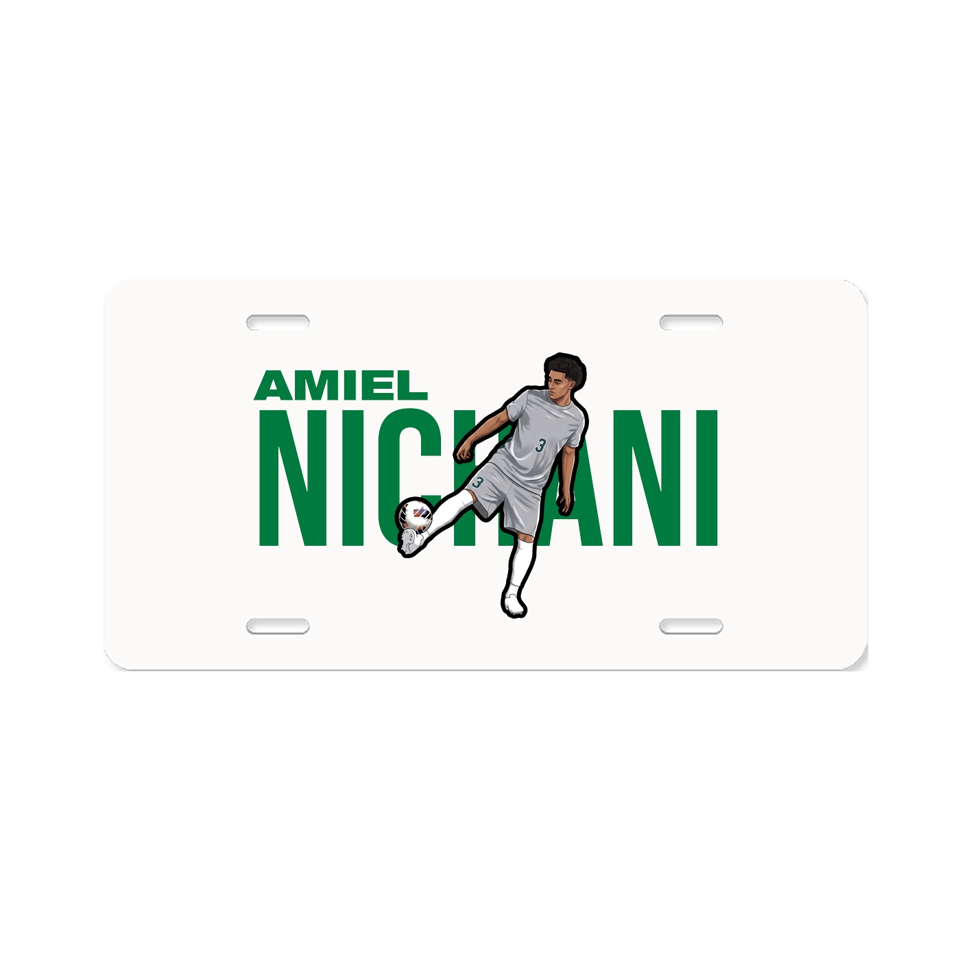 License Plate
