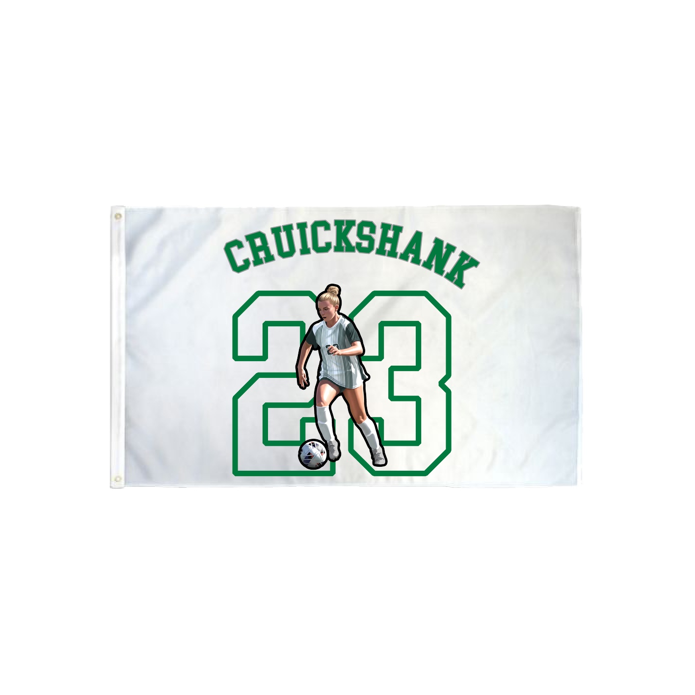 3x5 Flag — Shirsey Arch in Classic