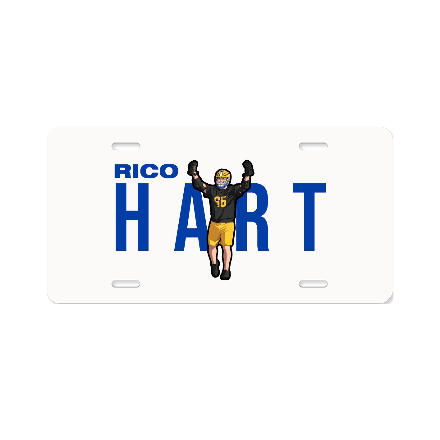 License Plate