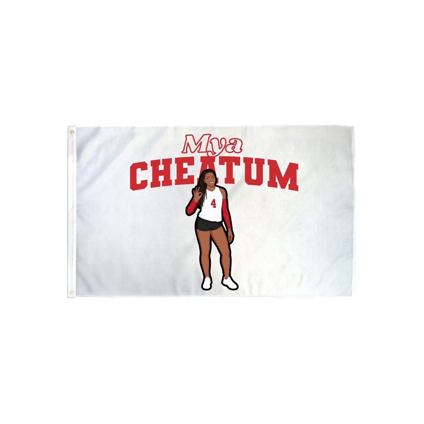 3x5 Flag — Name Arch in Classic