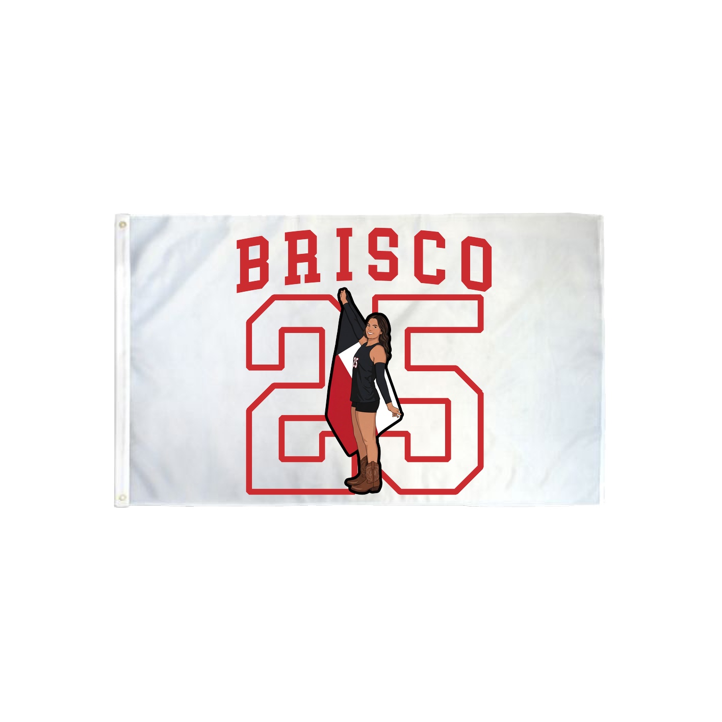 3x5 Flag — Shirsey in Classic