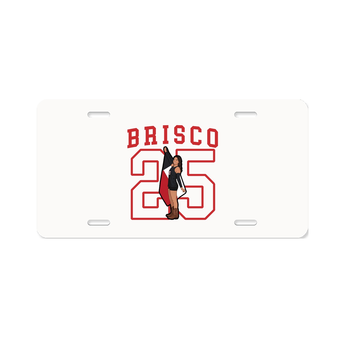 Aluminum License Plate