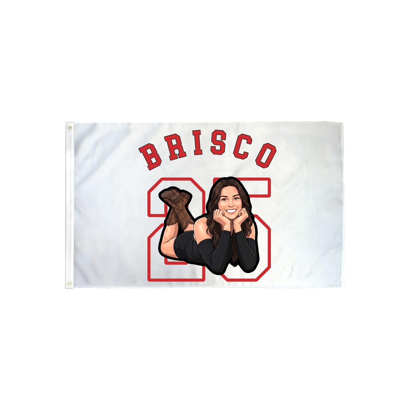 3x5 Flag — Shirsey Arch in Classic