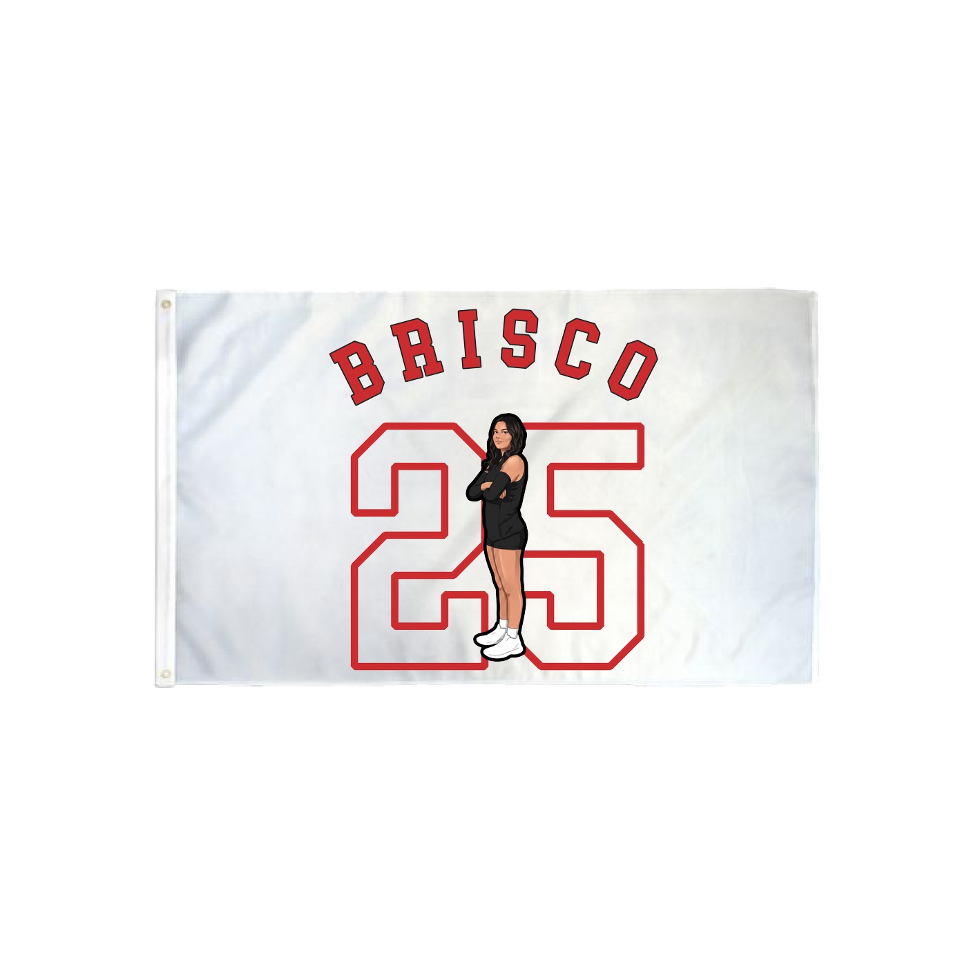 3x5 Flag — Shirsey Arch in Classic