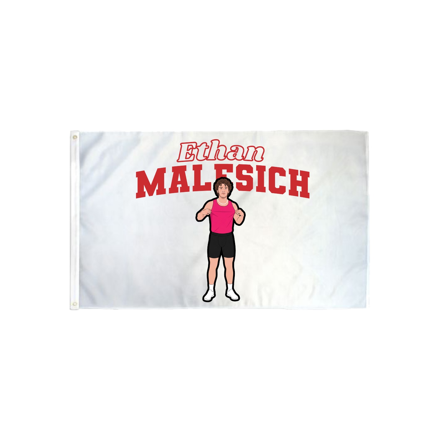 3x5 Flag — Name Arch in Classic