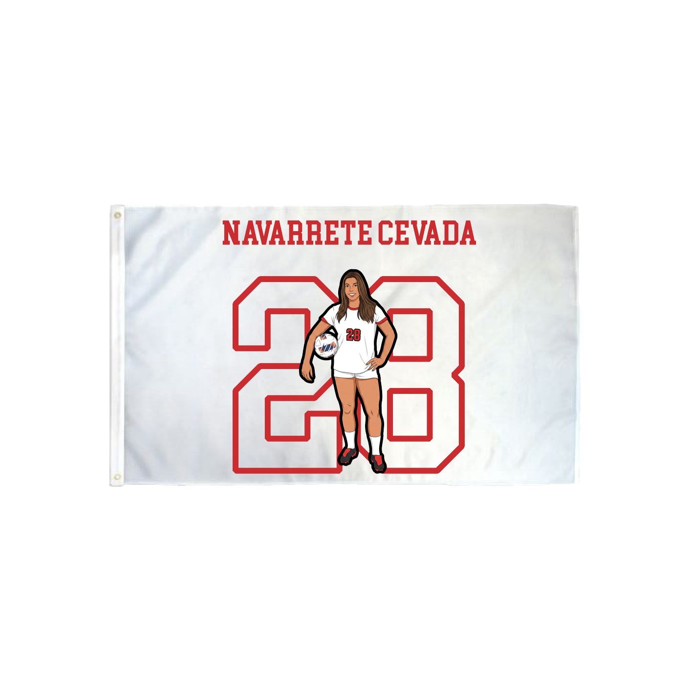 3x5 Flag — Shirsey in Classic