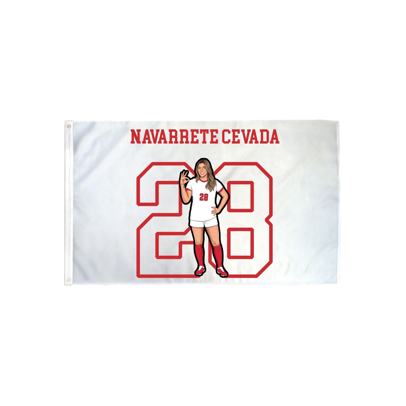 3x5 Flag — Shirsey in Classic