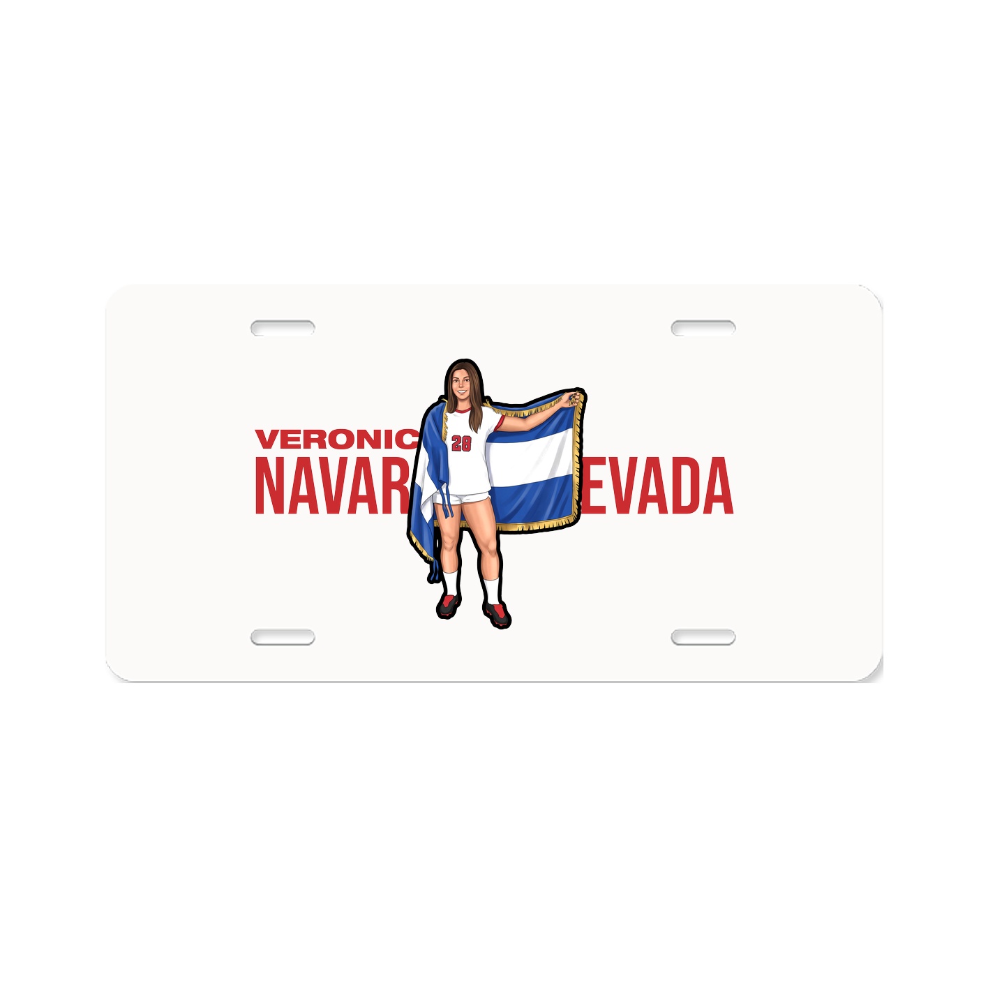 License Plate