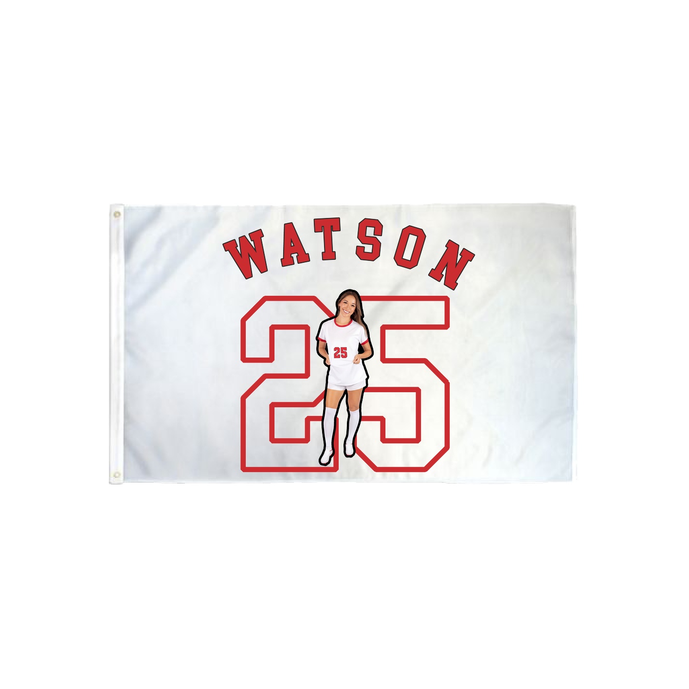 3x5 Flag — Shirsey Arch in Classic