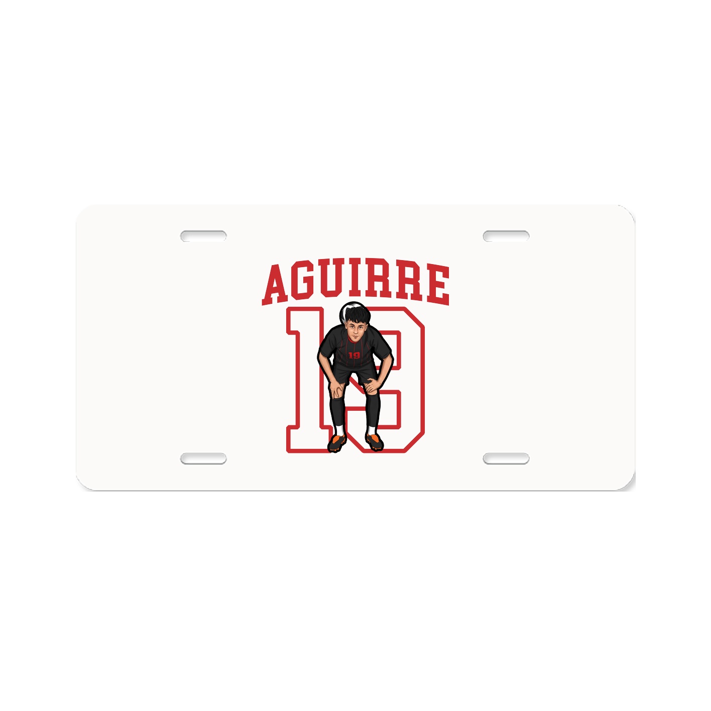 Aluminum License Plate