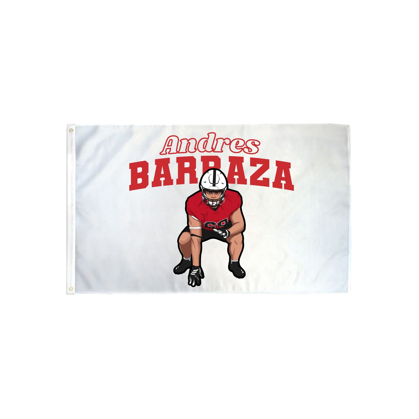3x5 Flag — Name Arch in Classic