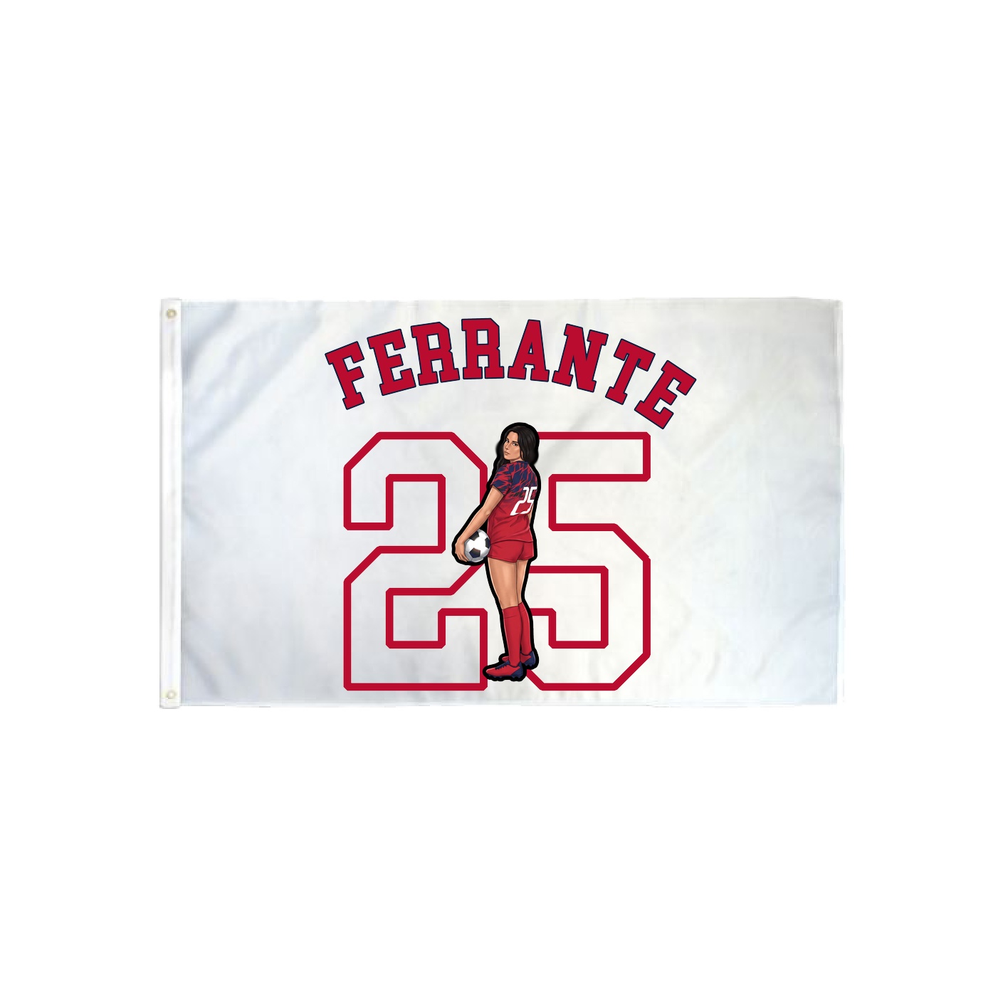 3x5 Flag — Shirsey Arch in Classic