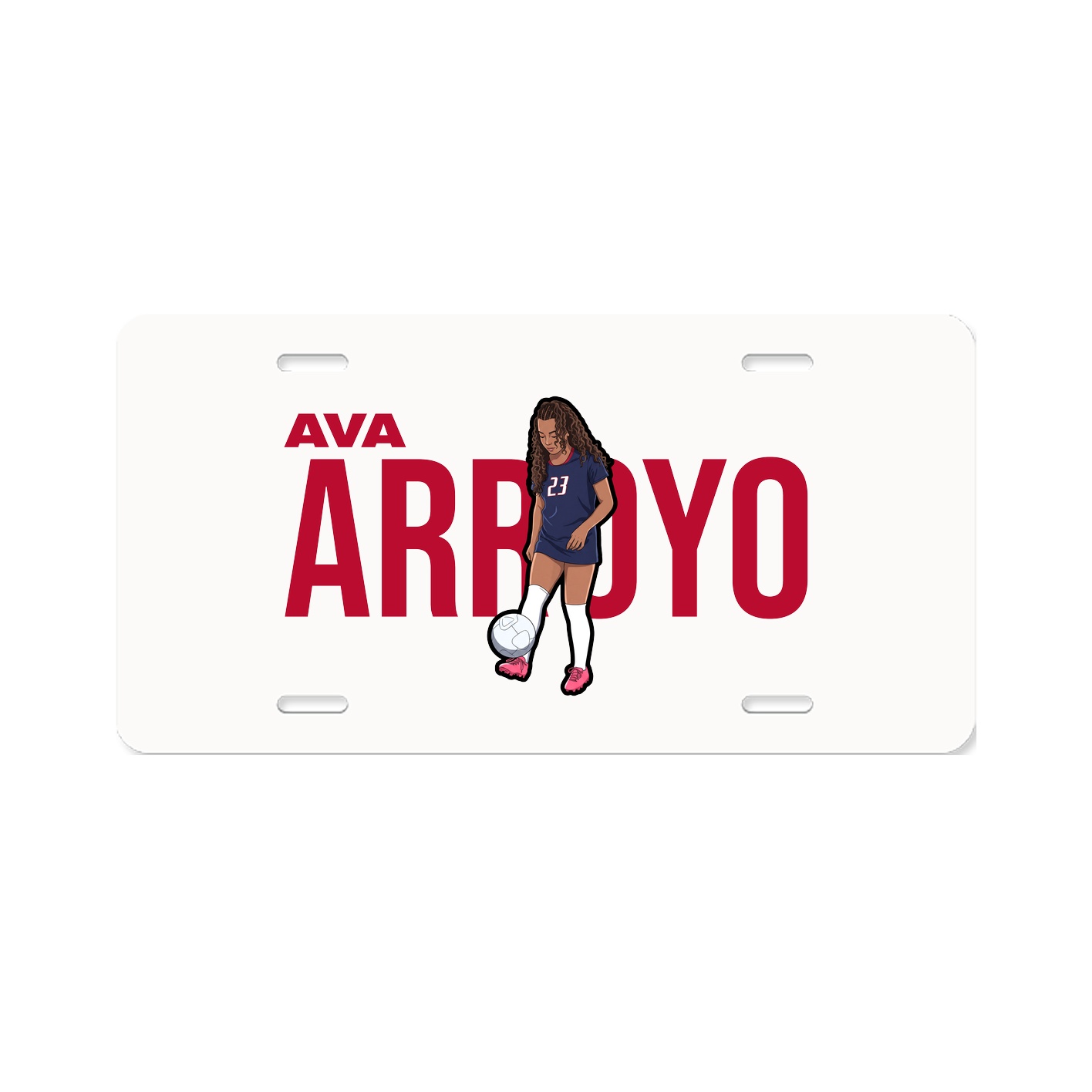 License Plate