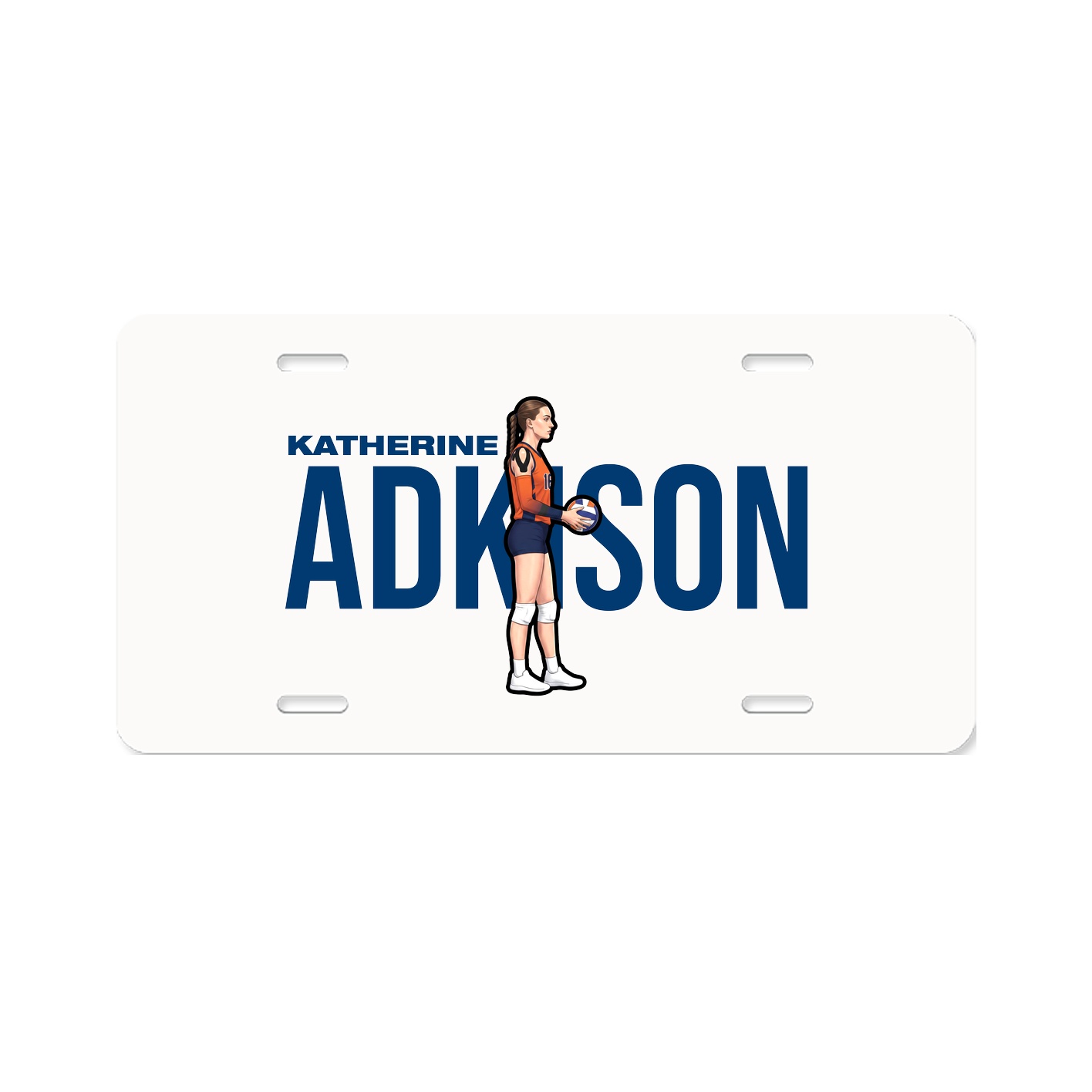 License Plate