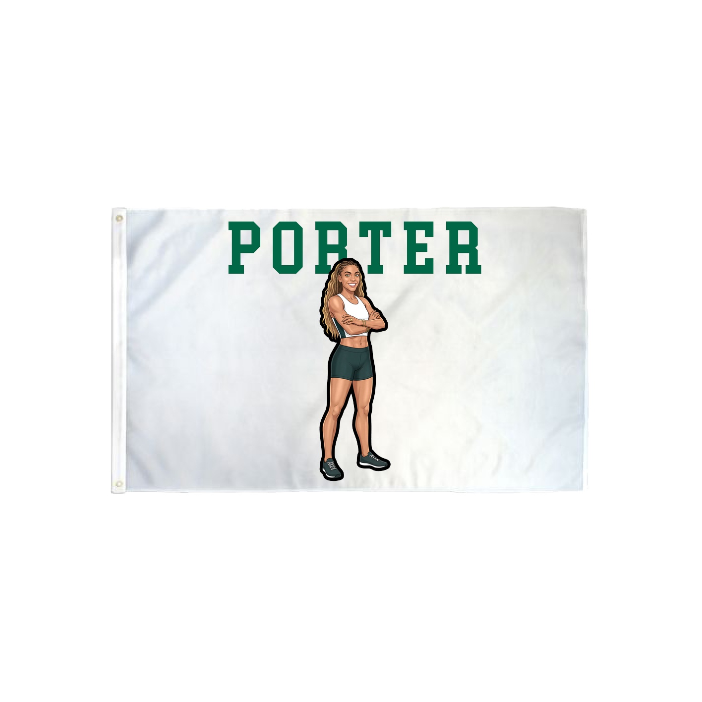 3x5 Flag — Shirsey in Classic