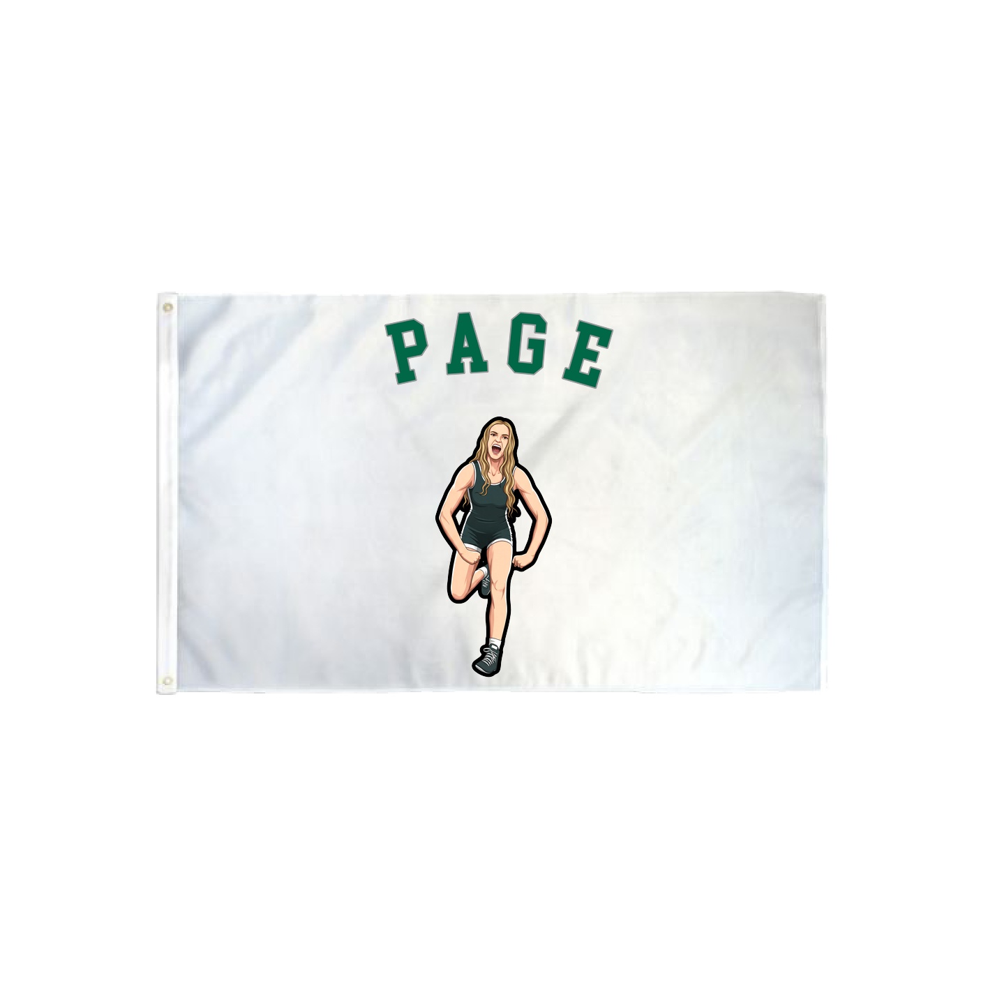 3x5 Flag — Shirsey Arch in Classic