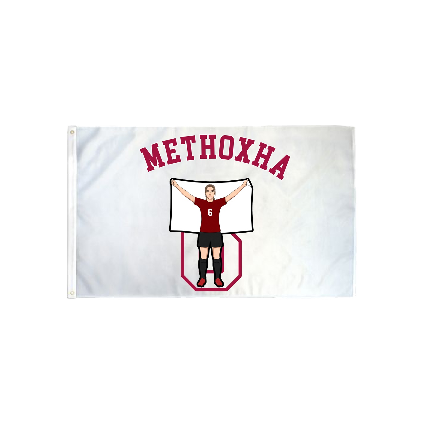 3x5 Flag — Shirsey Arch in Classic