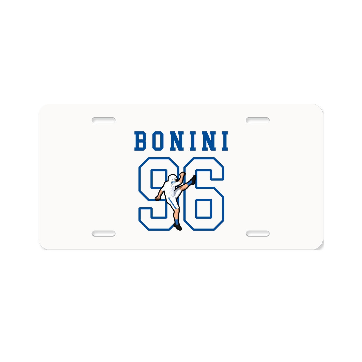 License Plate