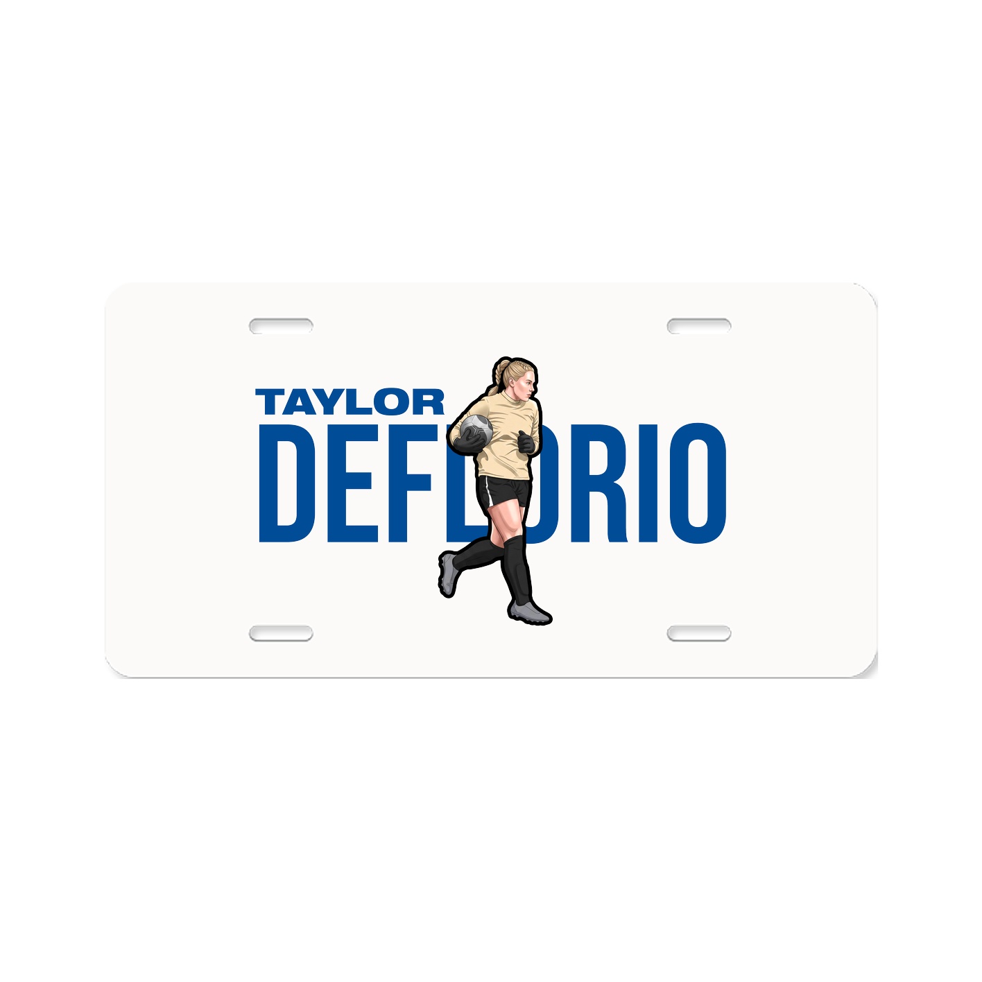 License Plate