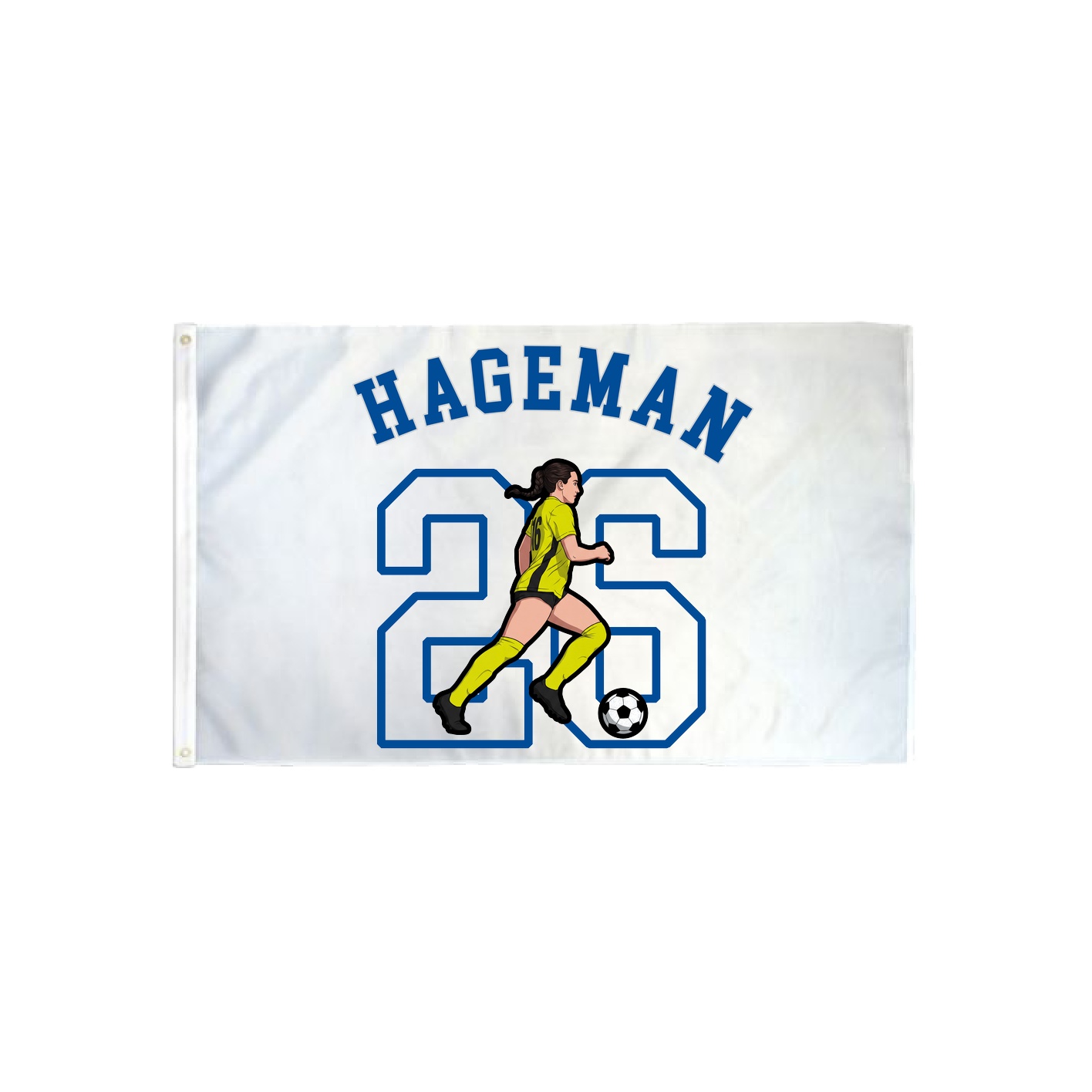 3x5 Flag — Shirsey Arch in Classic