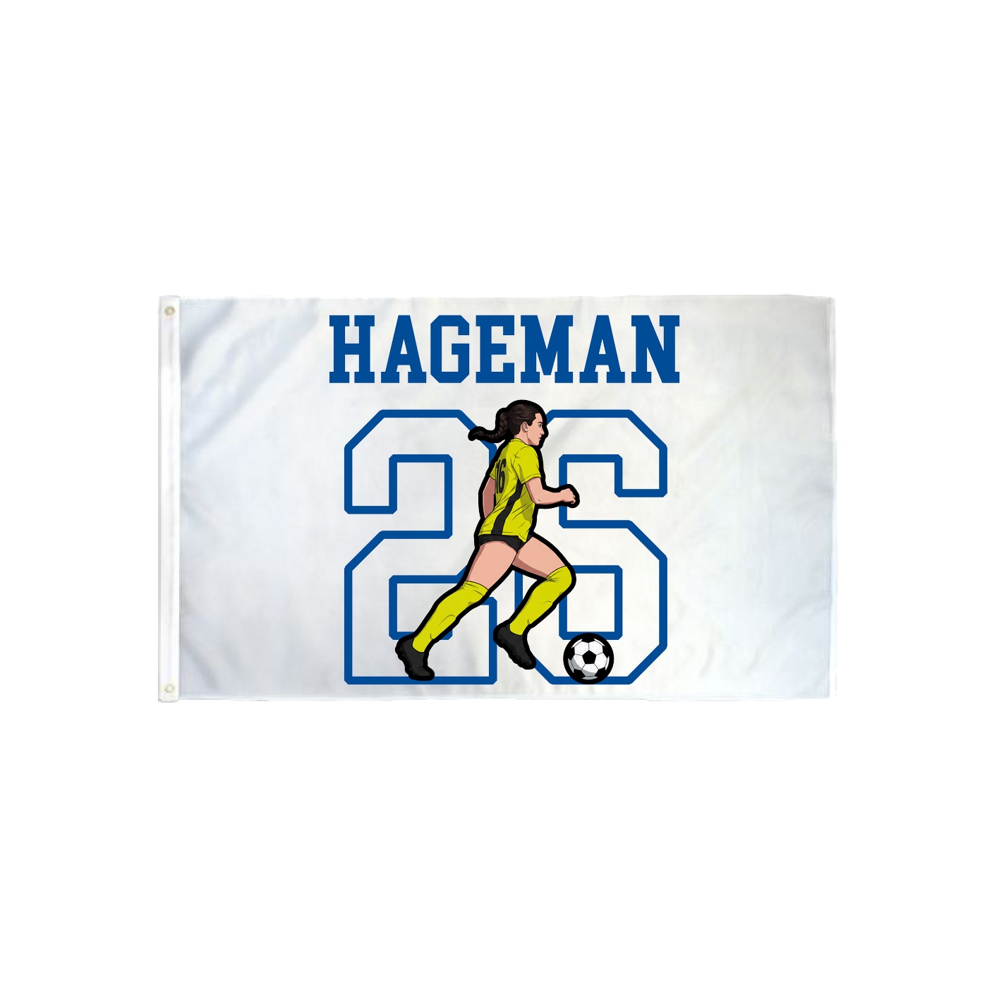 3x5 Flag — Shirsey in Classic