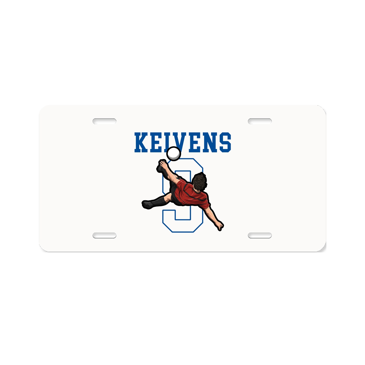 License Plate