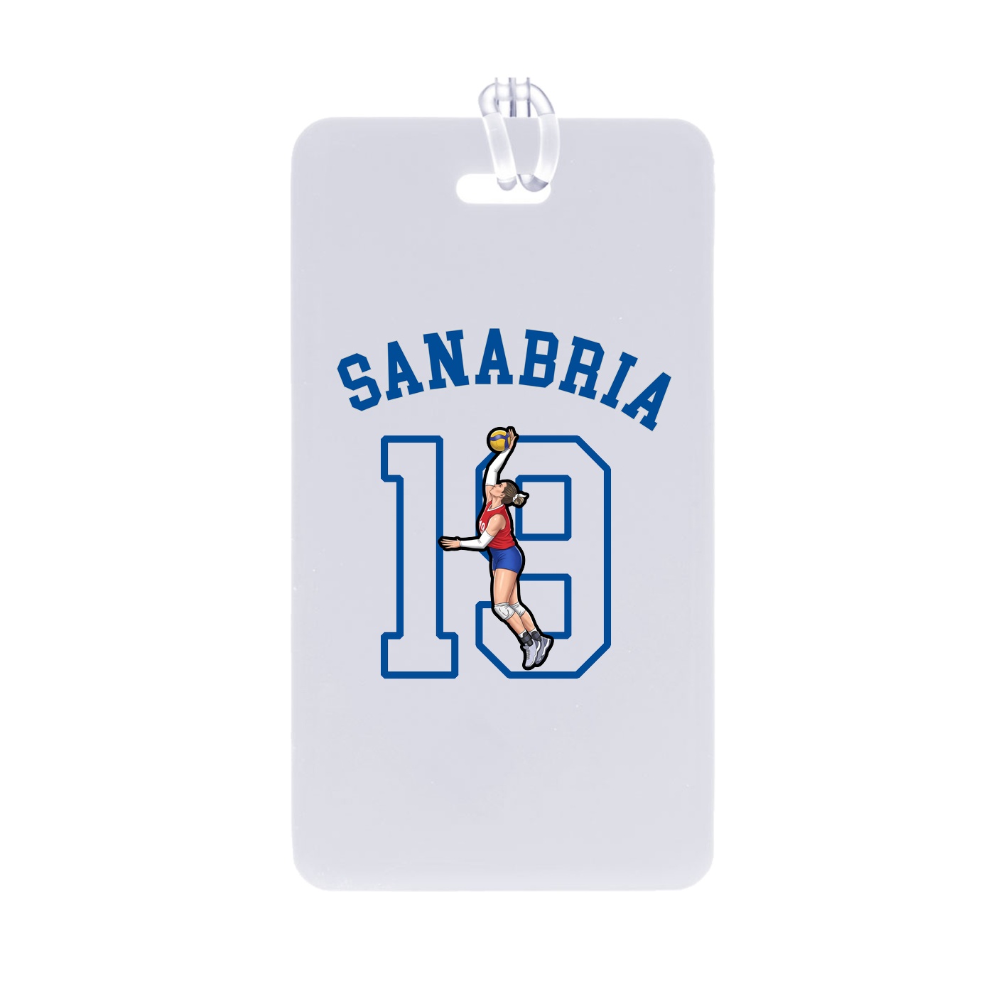 Bag Tag — Shirsey Arch in Classic