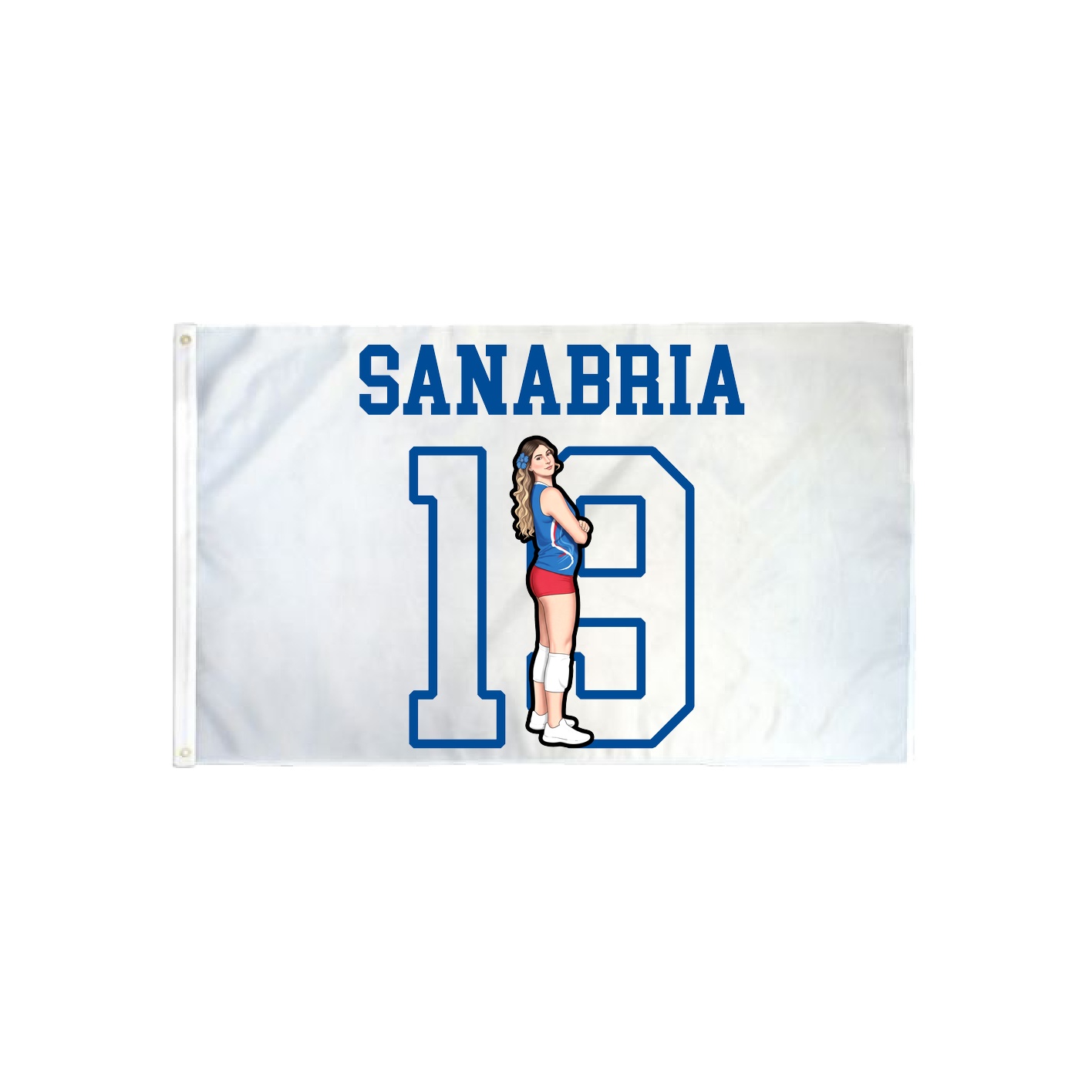 3x5 Flag — Shirsey in Classic